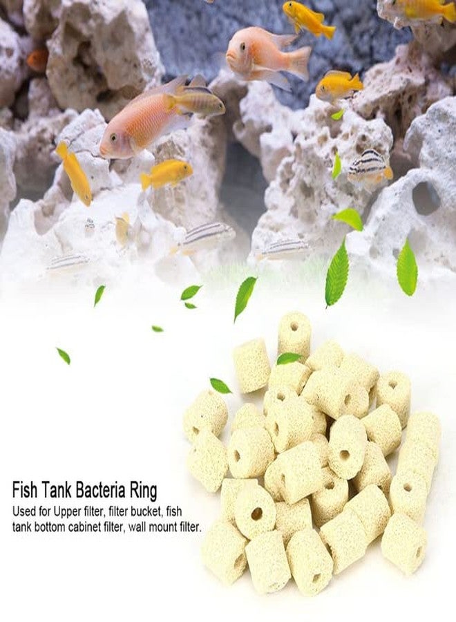 VAYINATO® Yellow Ceramic Ring Biological Filter Media for Aquarium Fish Tank (250G) by Petzlifeworld - Image 2